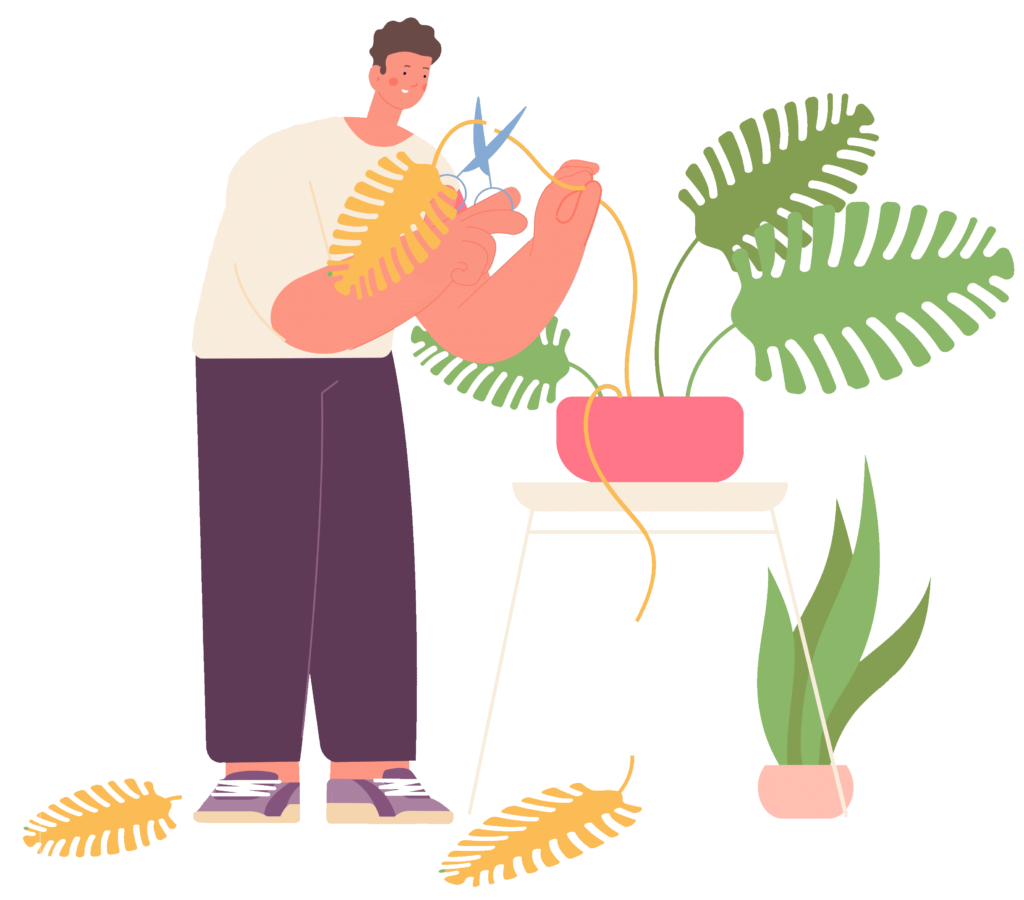 soin-plante-graphisme