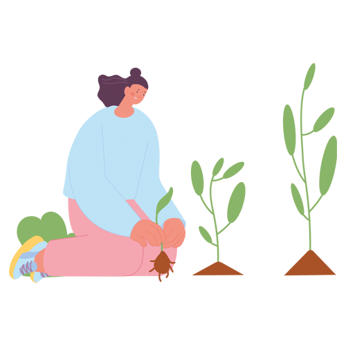 graphisme-plante-conso-eco