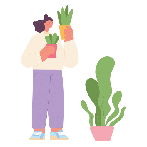 graphisme-plantes-accueil