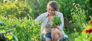 creer-jardin-biologique