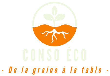 logo-conso-eco.fr