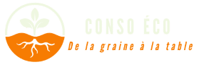 Conso éco